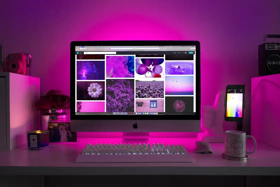 website authority